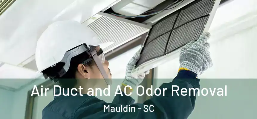  Air Duct and AC Odor Removal Mauldin - SC