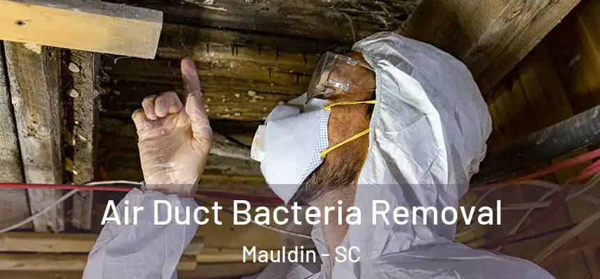 Air Duct Bacteria Removal Mauldin - SC