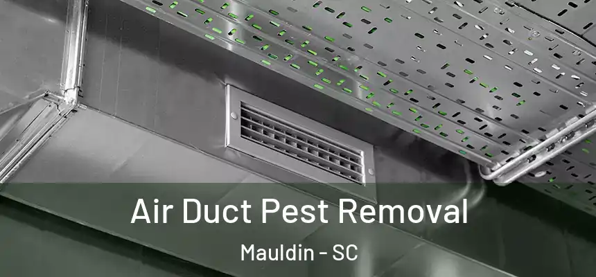 Air Duct Pest Removal Mauldin - SC