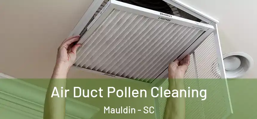  Air Duct Pollen Cleaning Mauldin - SC