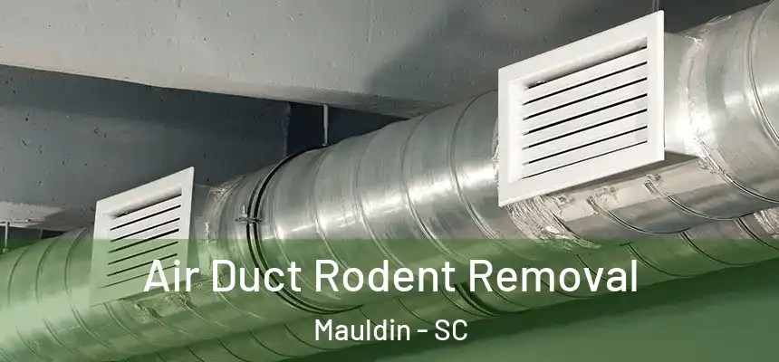  Air Duct Rodent Removal Mauldin - SC