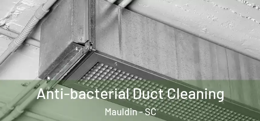 Anti-bacterial Duct Cleaning Mauldin - SC