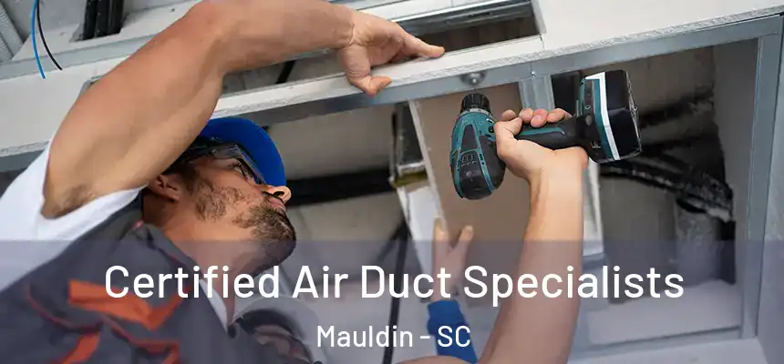 Certified Air Duct Specialists Mauldin - SC
