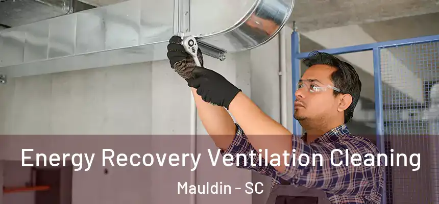  Energy Recovery Ventilation Cleaning Mauldin - SC