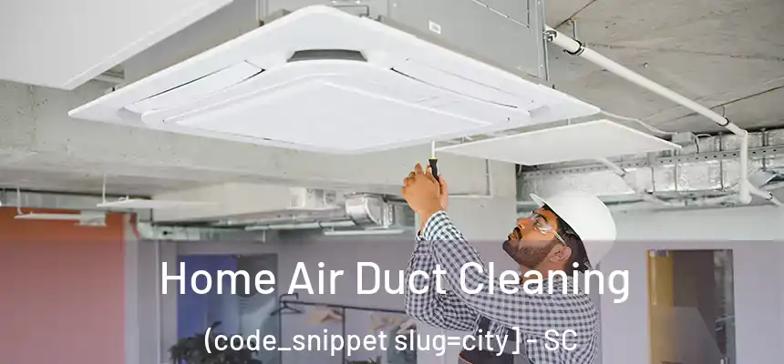  Home Air Duct Cleaning (code_snippet slug=city] - SC