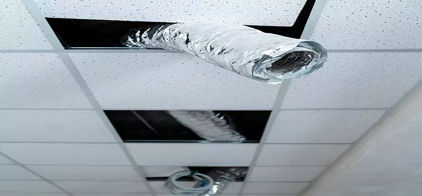 Affordable HVAC Sanitizing After Pest Removal in Mauldin