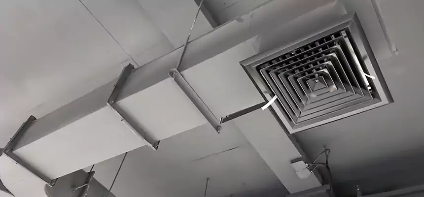 Restorative Allergy Relief Vent Cleaning – Coil, Blower & Housing Detail in Mauldin