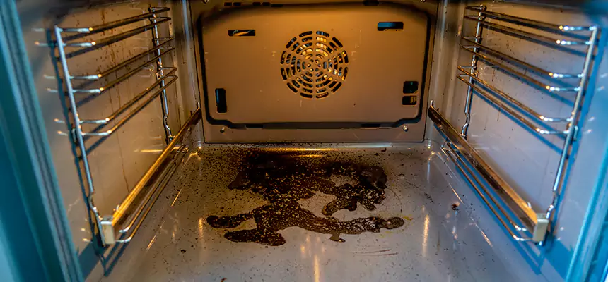 Our Dryer Vent Mold Cleaning Services in Mauldin, SC