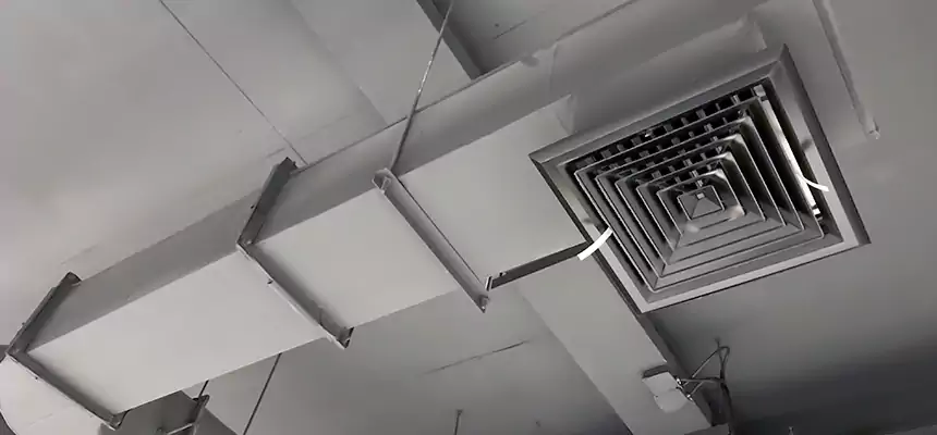 Our Pest Removal From Ducts Services in Mauldin, SC