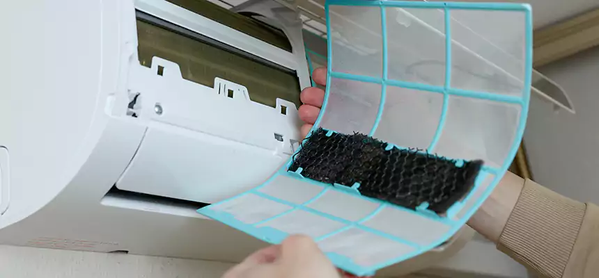 Gentle Ductwork Odor-Control Pet Dander Duct Cleaning in Mauldin, SC