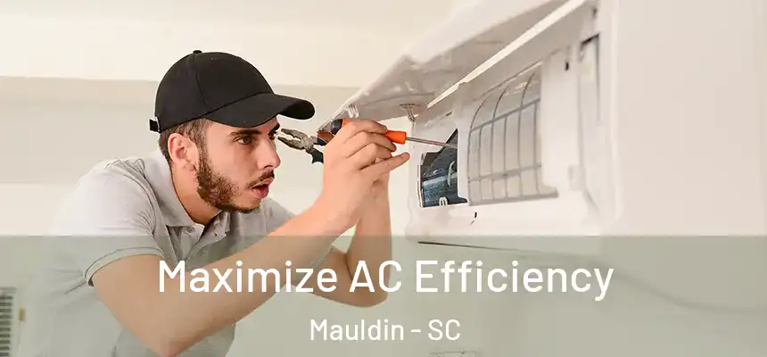  Maximize AC Efficiency Mauldin - SC