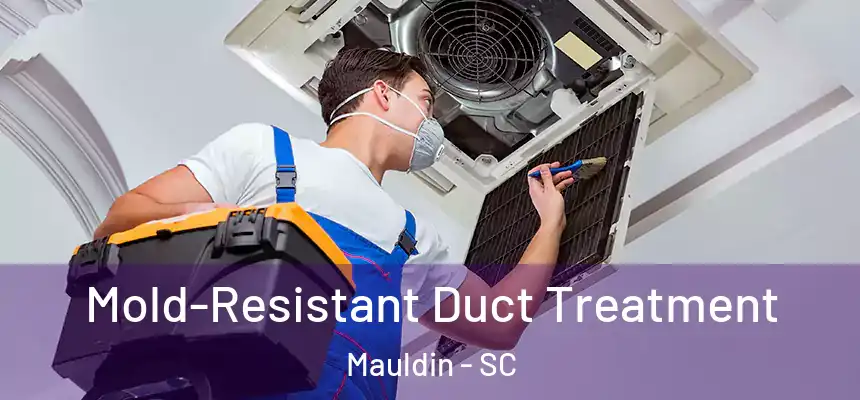  Mold-Resistant Duct Treatment Mauldin - SC