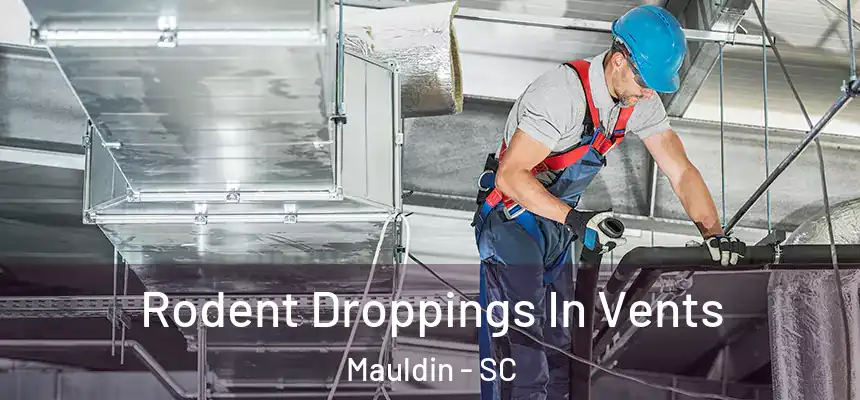 Rodent Droppings In Vents Mauldin - SC