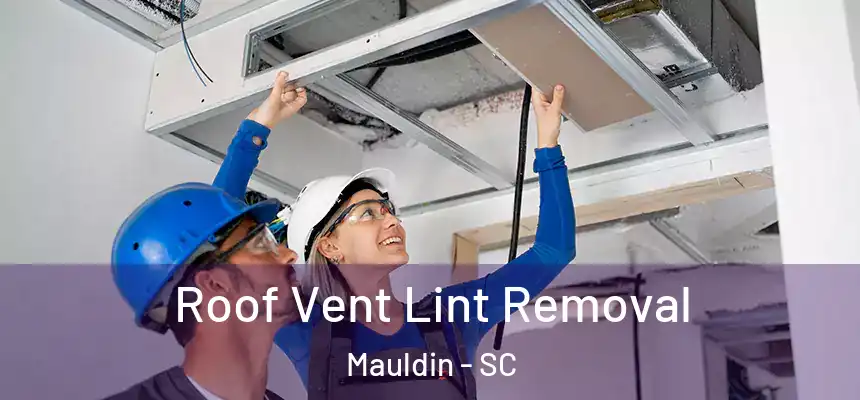  Roof Vent Lint Removal Mauldin - SC
