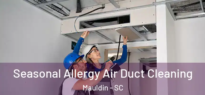 Seasonal Allergy Air Duct Cleaning Mauldin - SC
