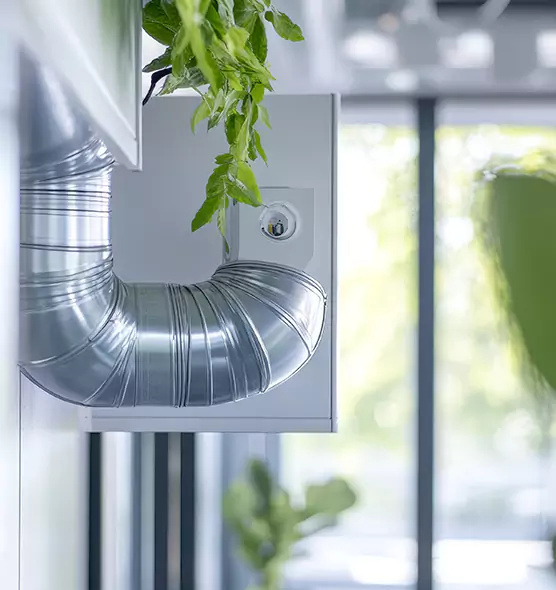 Professional Eco-Safe Dryer Vent Cleaning in Mauldin, SC