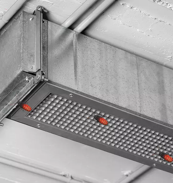 Affordable Insect Removal from Air Ducts in Mauldin, SC