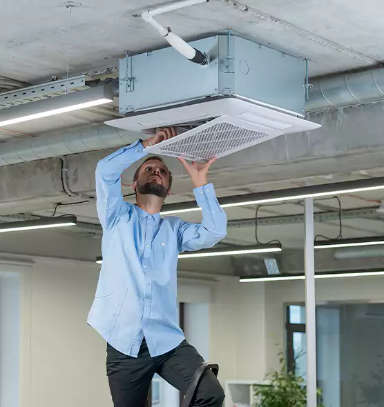 Advanced Rodent Droppings In Vents in Mauldin, SC