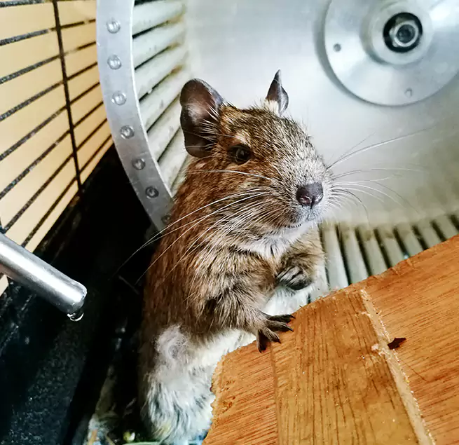 Why Homeowners & Businesses Trust Us Mauldin, SC