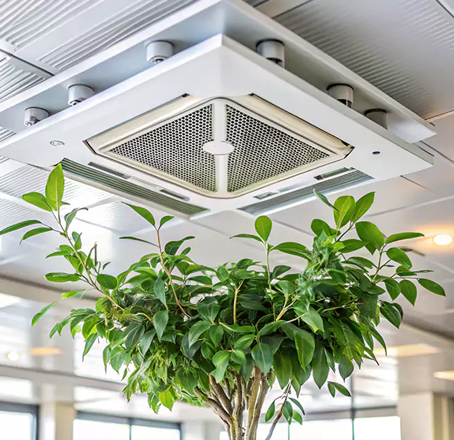 Why Homeowners & Businesses Trust Us in Mauldin, SC