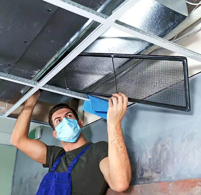 Why Homeowners Businesses Trust Us in Mauldin, SC