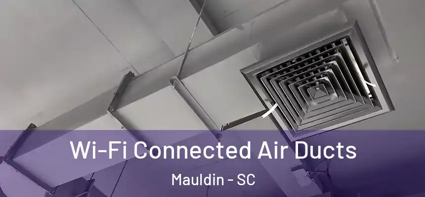 Wi-Fi Connected Air Ducts Mauldin - SC